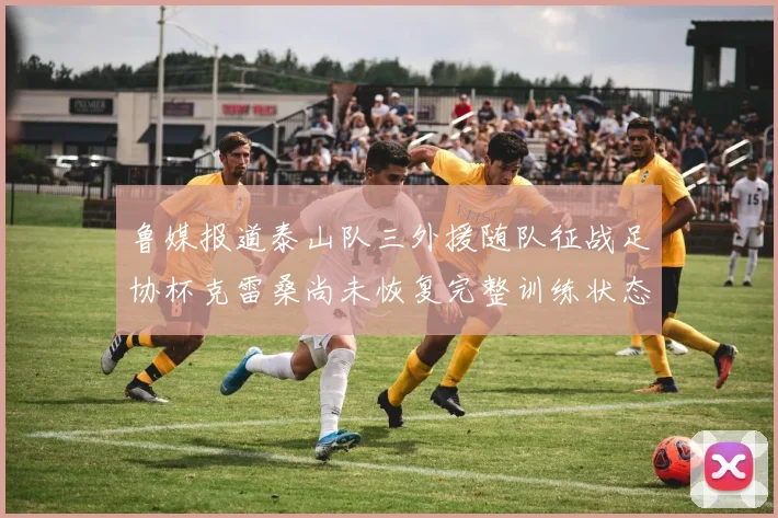 鲁媒报道泰山队三外援随队征战足协杯克雷桑尚未恢复完整训练状态
